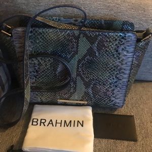 Brahmin purse